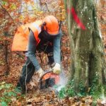 Acquistare il giusto paio di stivali forestali forestry-boots-2