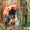 Acquistare il giusto paio di stivali forestali