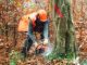 Acquistare il giusto paio di stivali forestali